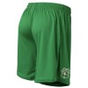 22 NB GK SHORT GREEN