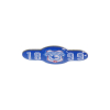 1899 PIN BADGE 25