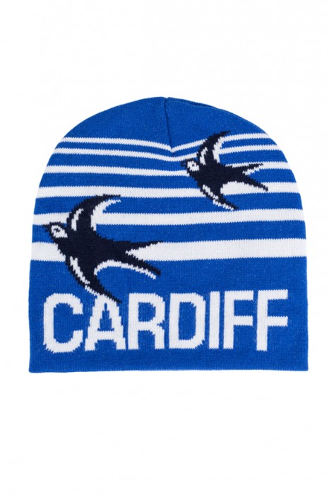 STRIPE BLUEBIRD BEANIE