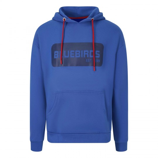 ARTETAN HOODIE