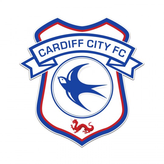 PVC CREST MAGNET
