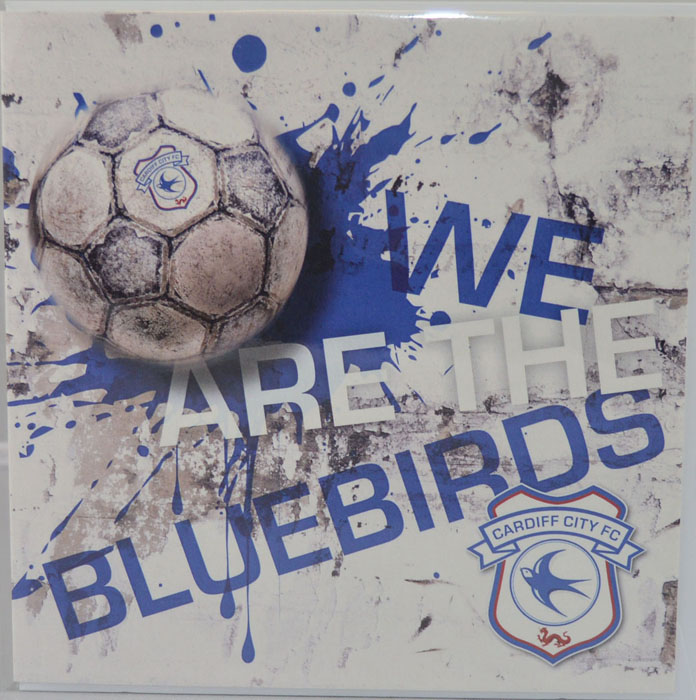 G05 BLUEBIRDS CARD