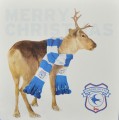 RUDOLPH CARD
