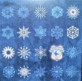SNOWFLAKES CARD