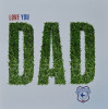 FD09 GRASS DAD