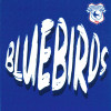 BLUEBIRDS GRAFFITI CANVAS