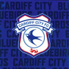 CREST ON TEXT CANVAS