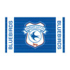 CARDIFF CREST FLAG