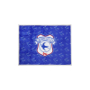 CARDIFF CITY SHERPA FLEECE BLANKET