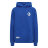 SS OVERSIZED HOODIE