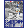 25 HOME PROGRAMME - READING