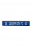 12 INCH RULER