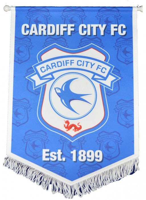 LARGE PENNANT LARGE PENNANT