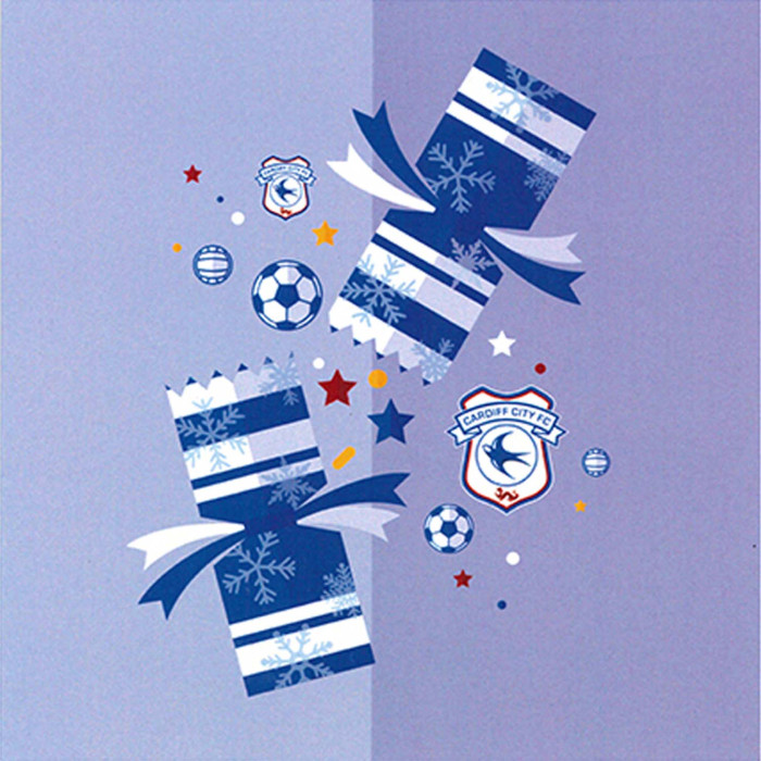 CHRISTMAS CRACKER CARD