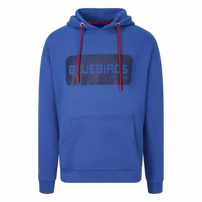 ARTETAN HOODIE
