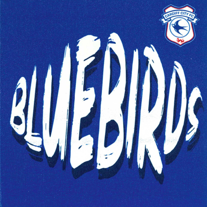 BLUEBIRDS GRAFFITI CANVAS